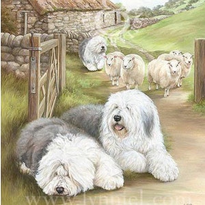 OLD ENGLISH SHEEPDOG limited edition fine-art hondenprint 'Bobtail's Droving'