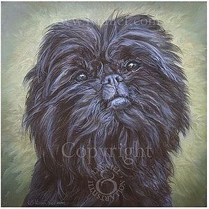 AFFENPINSCHER Portrait 12&quot; x 12&quot; by Lynn Paterson