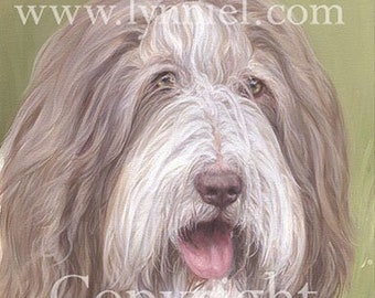 BEARDED COLLIE Kopfstudie Fine Art Print 'Brown' von Lynn Paterson