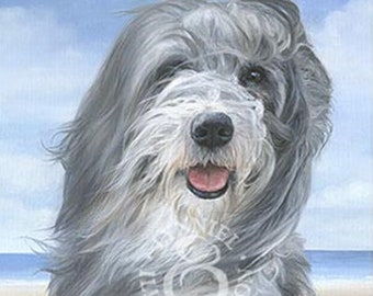 BEARDED COLLIE fine art dog print 'Willow'