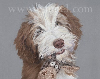 BEARDED COLLIE Fine Art Dog Print 'Rosslyn'