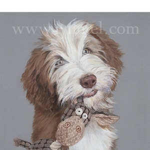 BEARDED COLLIE Fine Art Dog Print 'Rosslyn'