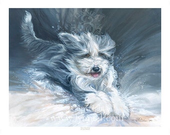 BORDER TERRIERS HEAD STUDY fine art Border Terrier dog print by Lynn Paterson