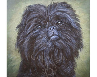 AFFENPINSCHER Portrait 12" x 12" von Lynn Paterson