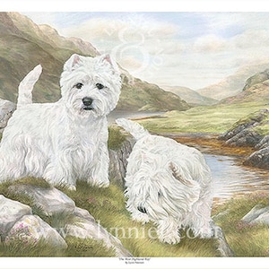 WEST HIGHLAND TERRIERS ltd edition dog print &#39;The West Highland Way&#39;