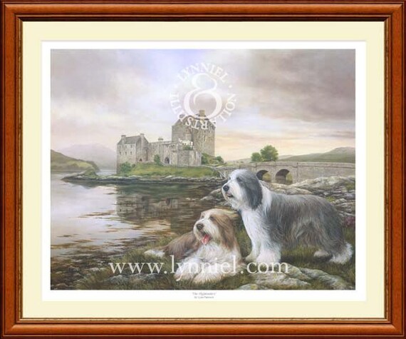 BEARDED COLLIE /'beardie/' dog print /'Winter/'s Glow/'