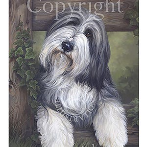 BEARDED COLLIE Kunstdruck &#39;Ella&#39;