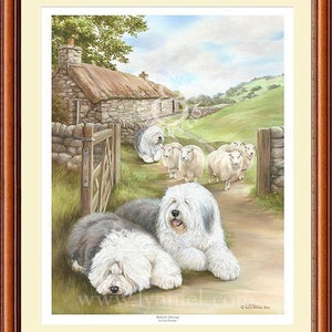 OLD ENGLISH SHEEPDOG limitierte Fine Art Hund drucken Bobtail Viehtreiber Bild 1