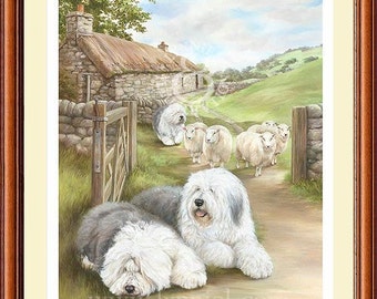 sheepdog gifts