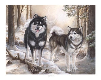 May include: Two Alaskan Malamute dogs standing in a snowy forest. The dog on the left is black and white, while the dog on the right is gray and white. Both dogs are looking at the viewer.