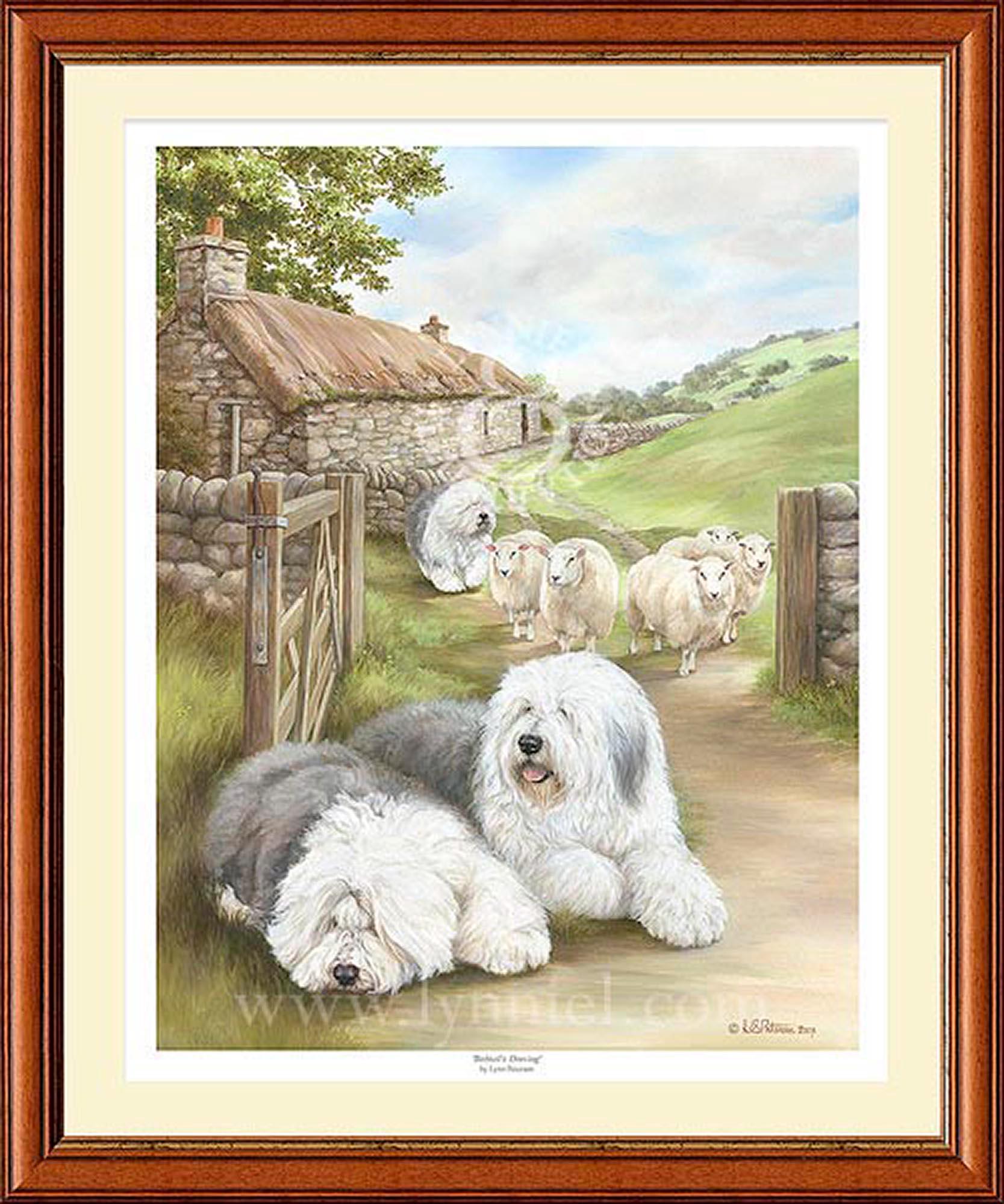 Cocker Spaniel Anglais : caractéristiques, éducation et santé