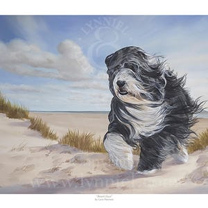 BEARDED COLLIE &#39;Beardie&#39; fine art print &#39;Beach Days&#39; by Lynn Paterson