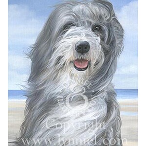 BEARDED COLLIE fine art dog print &#39;Willow&#39;