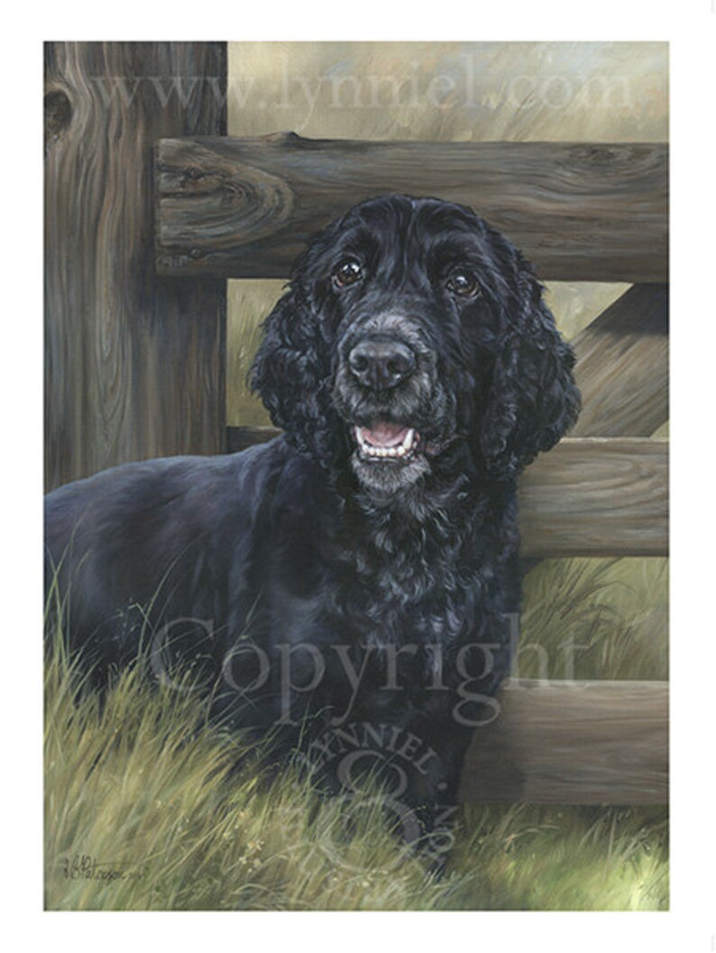 COCKER SPANIEL Black Cocker Spaniel Fine Art Print - Etsy UK