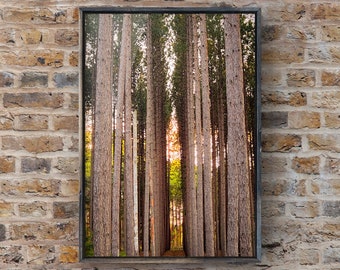 Wall Art - Michigan White Pine State Tree