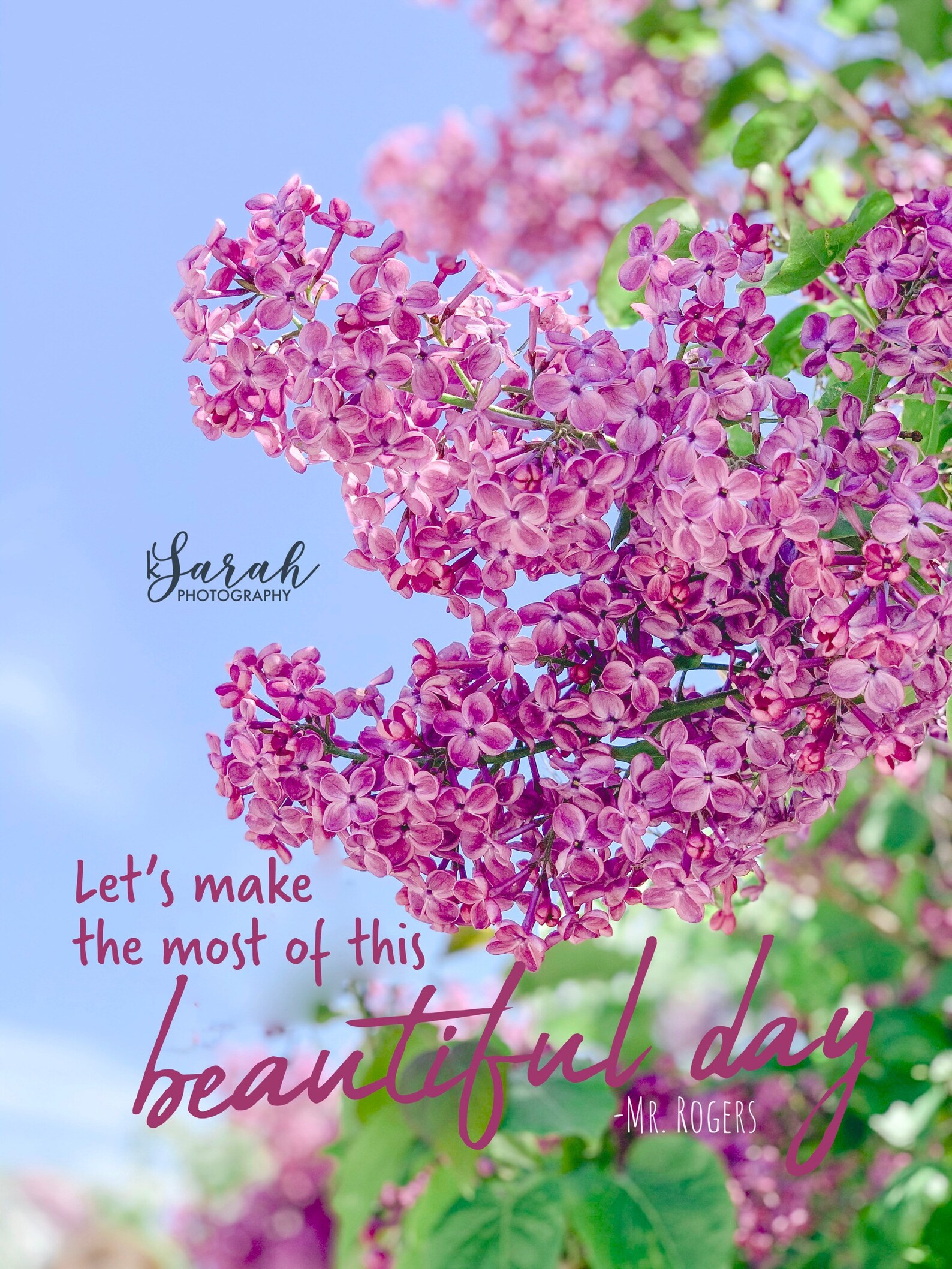 Lilacs Spring Nature Photography Mr Rogers Quote Let's | Etsy