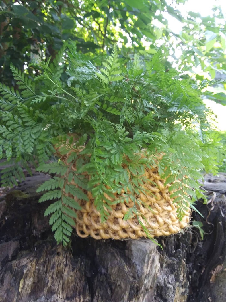 Handmade basket baler twine basket rustic twine basket Etsy