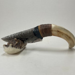 Lace Obsidian Knife W/ Warthog Tooth Handle, Flint Knapped