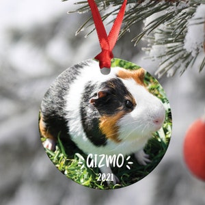 Guinea Pig Ornament - Pet Memorial Ornament - Hamster Guinea Pig Loss Gift - Pet Remembrance - Christmas Ornament