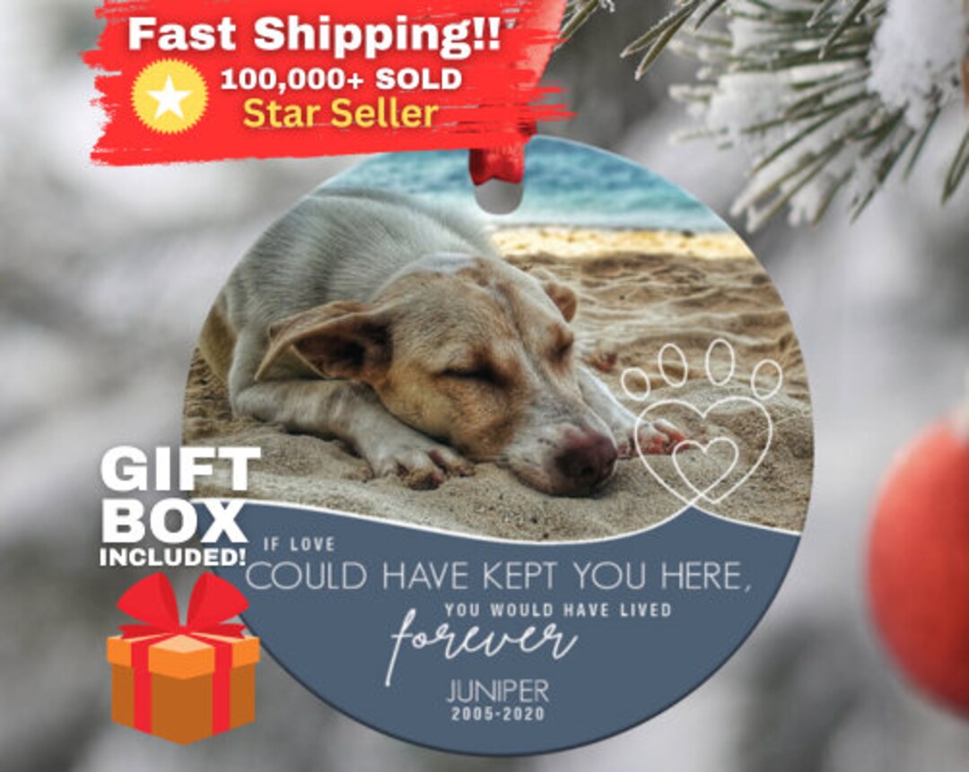 Dog Gifts To Spoil Your Pet: The 38 Best Christmas Gifts For Dogs