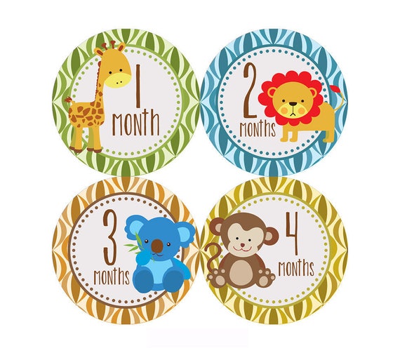 Monthly Stickers Baby Shower gift 1-12 Month baby stickers Milestone stickers Infant stickers Onepiece Baby Girl unicorn labels decals set