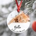 Pet Memorial Photo Ornament - Cat Loss Gift - Cat Remembrance - Cat Memorial Ornament - Pet Remembrance - Christmas Ornaments - Cat Ornament 