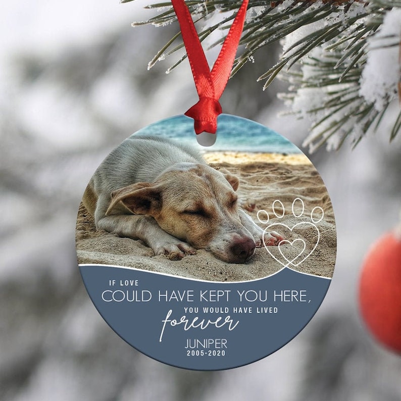 Pet Memorial Ornament with Photo Dog Loss Gift Pet image 1