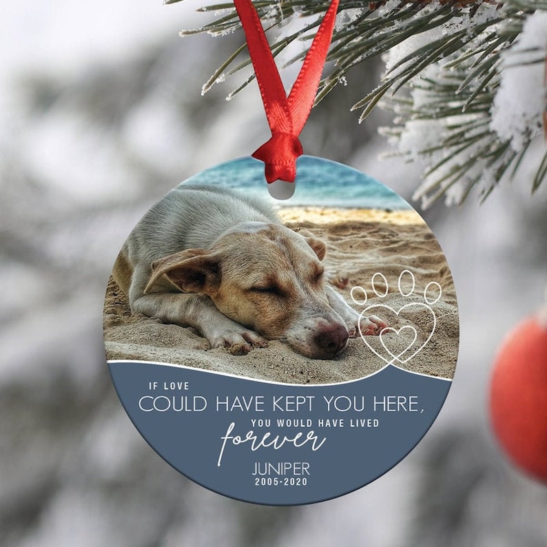 Pet Memorial Ornament with Photo  Dog Loss Gift  Pet image 1