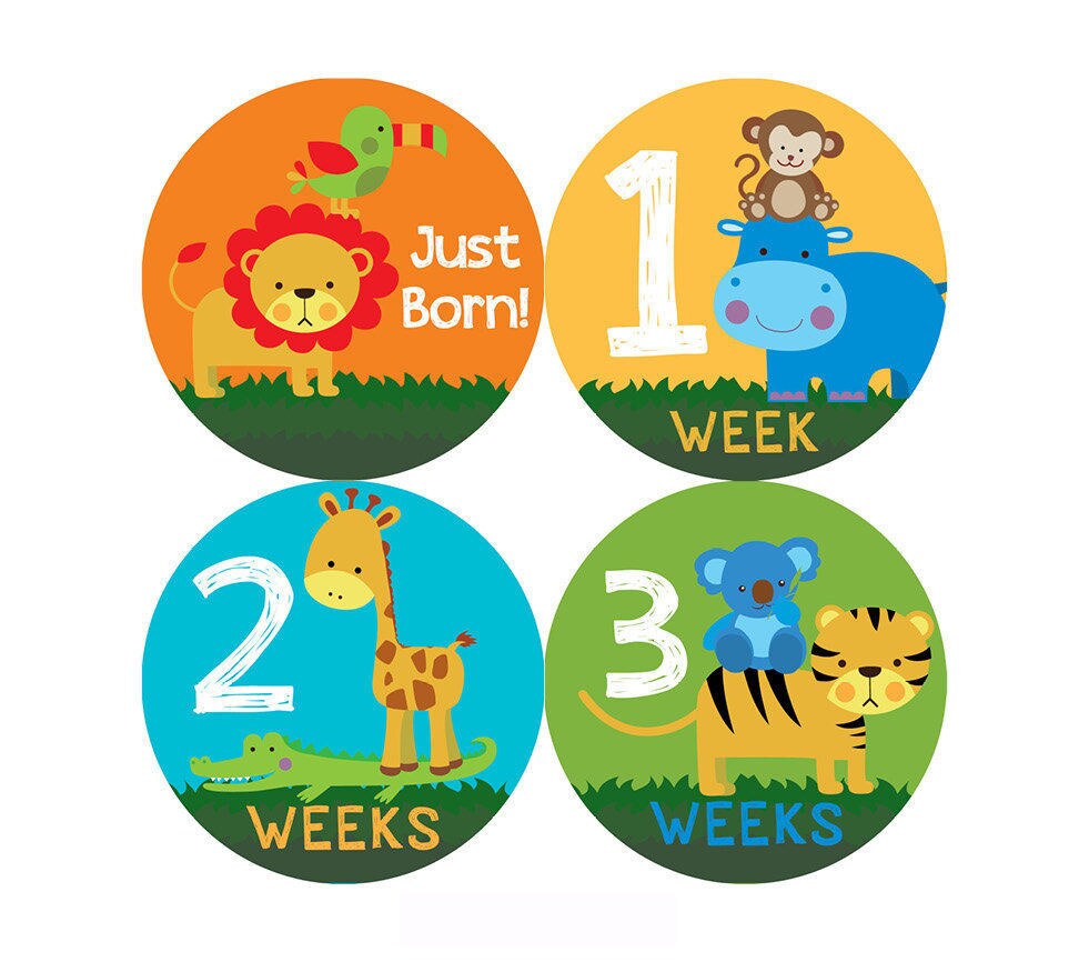 Safari Monthly Baby Milestone Stickers - Baby Shower Gift - One-Piece…