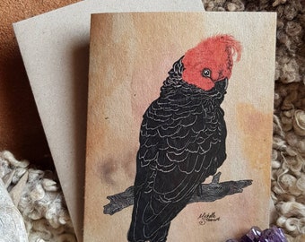 Op de afbeelding: Een wenskaart met een gedetailleerde illustratie van een zwarte papegaai met een rode kuif, zittend op een tak. Het kunstwerk staat tegen een warme, aardse achtergrond, met een bijpassende envelop. Gesigneerd door Michelle Stewart.