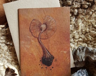 WILD FORAGED MUSHROOM Card. A6 Blank Gift Card. Mushroom. Fungi.  Recycled Kraft Paper. Illustrated Gift Card. Birthday Cards