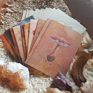 Könnte beinhalten: Eine Sammlung von Kunstdrucken mit Aquarellillustrationen von Pilzen, Federn und anderen von der Natur inspirierten Designs. Die Drucke sind auf strukturiertem braunem Papier, mit einer Vielzahl von Farben und Stilen. Einige Drucke haben die Signatur des Künstlers.