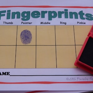 May include: A white paper with a grid for taking fingerprints. The grid is labeled with the words "Thumb", "Pointer", "Middle", "Ring", and "Pinkie". The words "Right" and "Left" are written vertically on the left side of the grid. The words "Name" and "©2016 Purely Splendid" are written at the bottom of the paper. A red ink pad is on the right side of the paper.