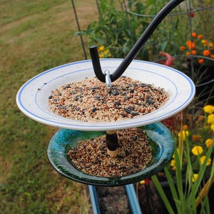 May include: A bird feeder made from two plates, one white with blue trim and one green glass. The feeder is filled with birdseed and is hanging from a black metal hook.
