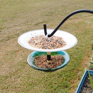 May include: A bird feeder made from two plates, one white and one blue, with a black metal hook. The feeder is filled with birdseed and is hanging from a black metal hook.