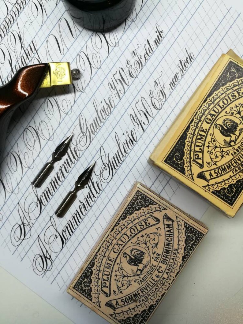 Plume Gauloise 750 EF A.Sommerville New stock Vintage nib modern calligraphy Styles of Pointed Pen Script Spencerian Copperplate Penmanship