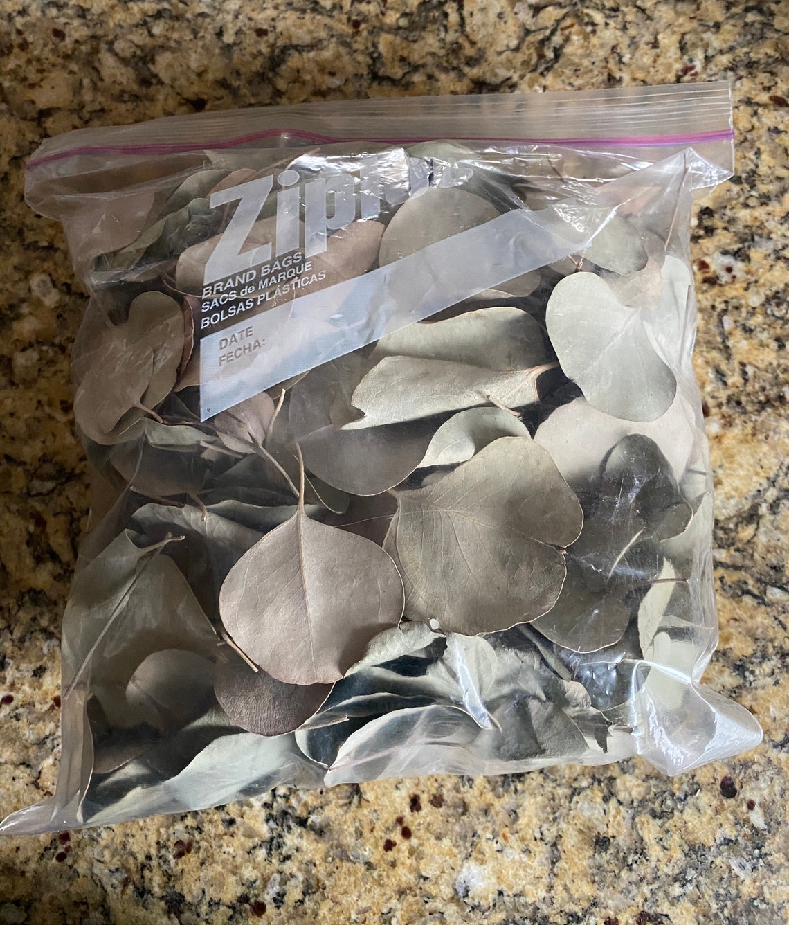 Dried Eucalyptus Leaves, Eucalyptus, Organic, Natural Dried Leaves