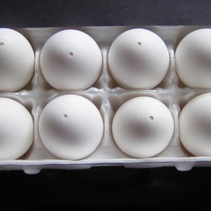 1 dozen all natural hollowed out chicken eggs, Great for decorating, decoupage, pysanky, art and crafts