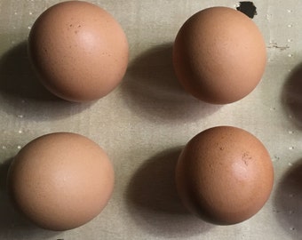 1/2 dozen all natural hollowed out brown chicken eggs, Great for decorating, decoupage, pysanky, art and crafts