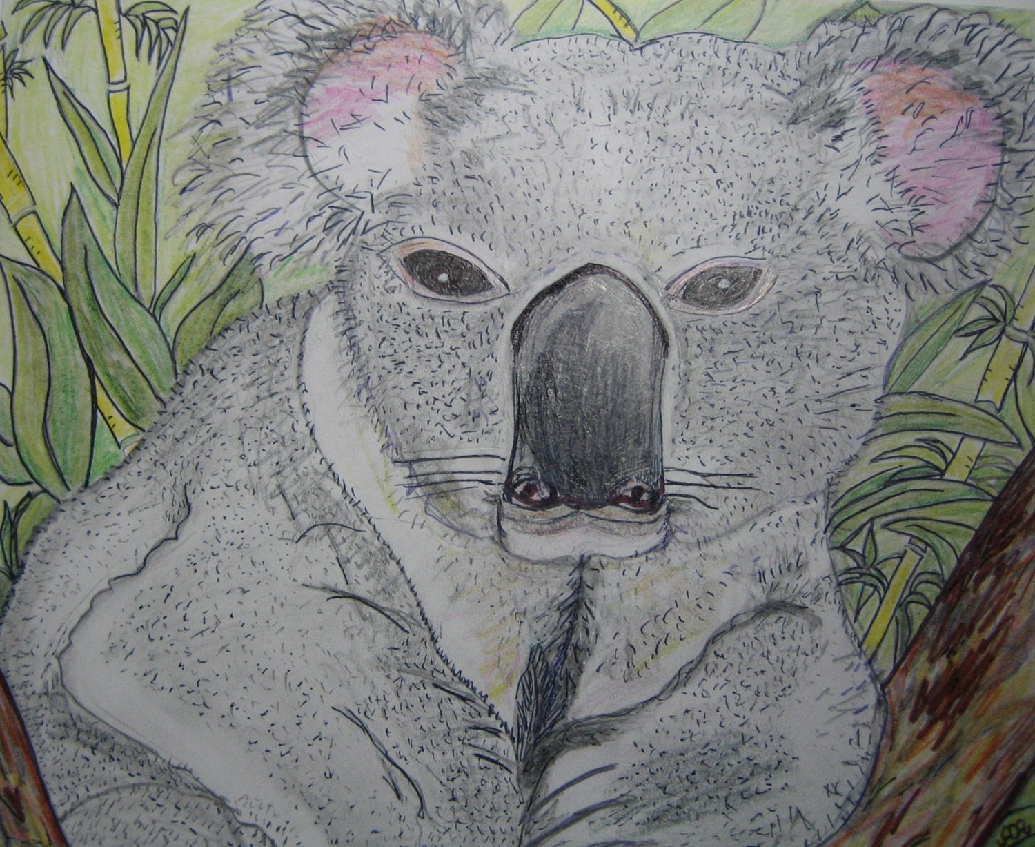 Original Art Unique Pencil Drawing Animal Artwork Koala - Etsy Australia Original Art Unique Pencil Drawing Animal Artwork Koala - Etsy Australia
