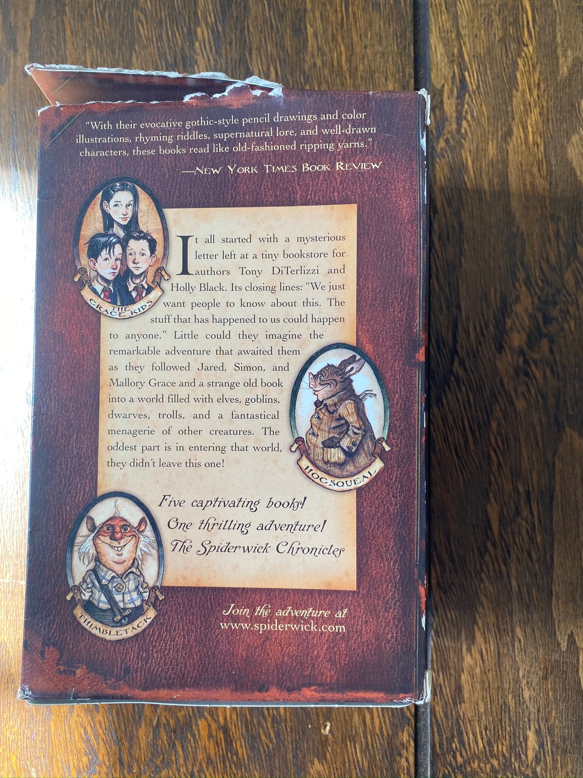 The Spiderwick Chronicles Book Set Children's Book Etsy