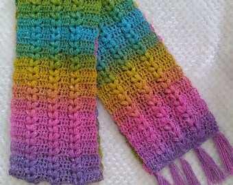 May include: A rainbow colored crocheted scarf with a sparkly finish and a fringe on one end.
