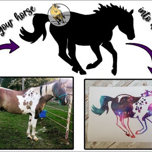 Custom Horse Decal | Turn Your Horse Into A Sticker | Vinyl Horse Decal for Horse Lovers | Personalized Horse Decal for Cars, Horse Trailers