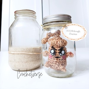 SOURdough Starter Crochet Pattern PDF Mascot Bread Active Kitchen Old Dough Food Instructions