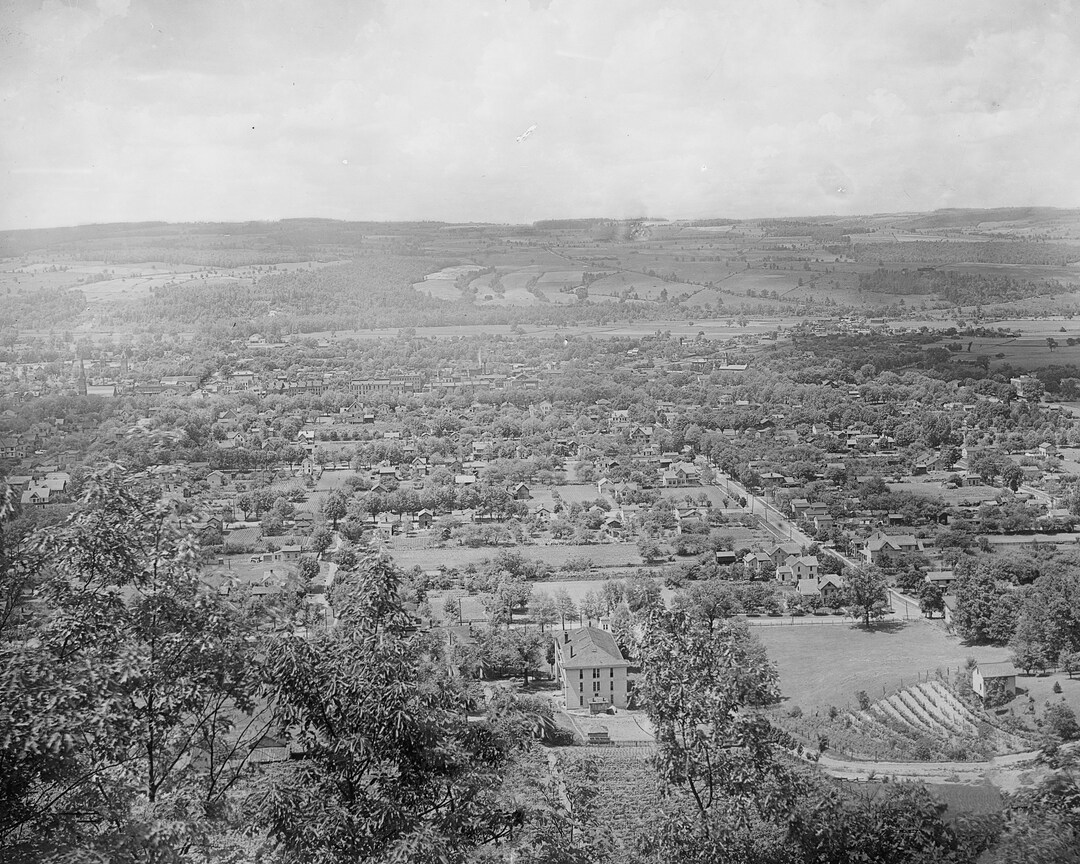 View of Dansville, New York, Late 1800's, Photo, New Reproduction Picture Print Etsy
