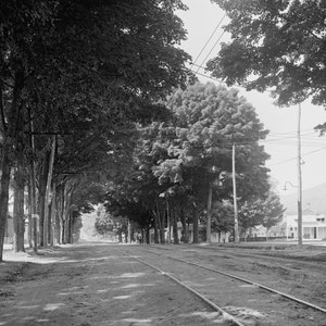 Lake George, New York, Main Street, Early 1900s, Early 1900s, Black and White Photo, New Print Reproduction of an Old Photograph