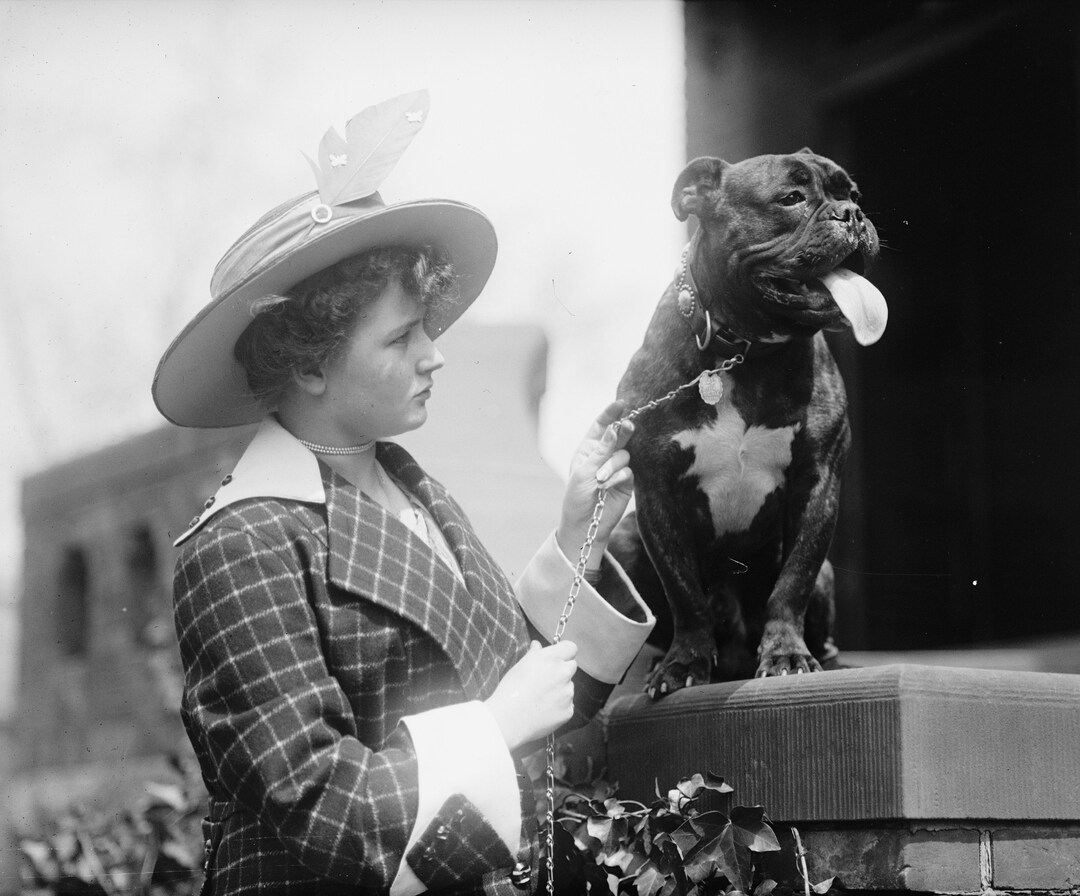 1915, 1910s Photo, Edith Gracie With Dog, at Dog Show, New Reproduction ...