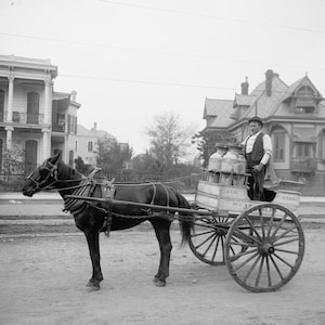 New Orleans Milk Cart, New Orleans, Louisiana, Early 1900's, Old Photo, Black and White, New Reproduction Picture