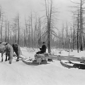 Horse drawn Sled, Logging, Michigan, 1880&#39;s, Old Photo, 1800&#39;s, Winter, Snow, New Reproduction Picture