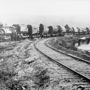 Logging Train, 1909, Early 1900s, Railroad, Old Photo, Locomotive, New Reproduction Picture